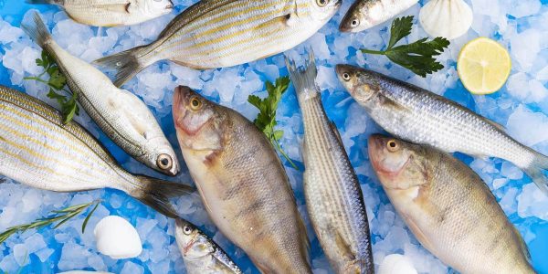 seafood fresh fish market walsall west midlands